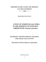 Study on nitrifying bacteria in the sediment ò intensive shrimp pond