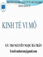 bài giảng kinh tế vi mô  nguyễn ngọc hà trân (full)
