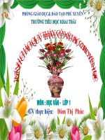 Giáo án bài giảng tiểu học