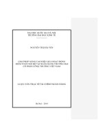 Giải pháp nâng cao hiệu quả hoạt động kiểm toán nội bộ tại ngân hàng TMCP Công thương Việt Nam