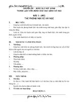 giao an van minh thanh lich lop 8, bai 1