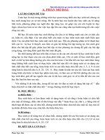 skkn phát triển tính tích cực của học sinh lớp 6 thông qua phép chia hết