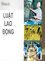 thuyết trình môn pháp luật đại cương luật lao động