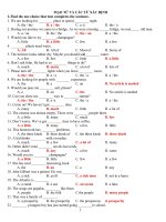 chuyên đề MẠO TỪ VÀ CÁC TỪ XÁC ĐỊNH