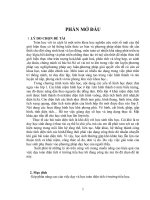 Kinh nghiệm dạy toán lớp 5