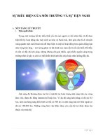 SỰ BIỂU HIỆN CỦA  MÔI TRƯỜNG VÀ SỰ TIỆN NGHI