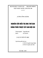 Nghiên cứu điều trị ung thư gan bằng phẫu thuật cắt gan nội soi