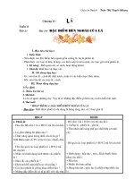 Bài  19: Đặc điểm bên ngoài của lá