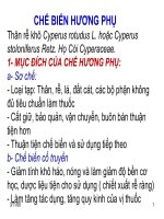 BAI GIẢNG CHẾ BIẾN HƯƠNG PHỤ
