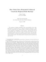 How much does household collateral constrain regional risk sharing