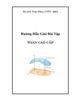 Hướng dẫn giải đáp bài tập toán cao cấp