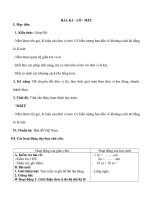 Giáo án Ki lô mét