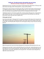 Hiểu biết và sử dụng “không gian âm” trong nhiếp ảnh