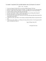 Ôn tập thi hết môn đường lối - đhkt - cn Long An