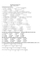 De thi Tieng Anh k9 HK2 nam 2010-2011