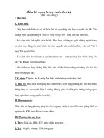 Giáo án điện tử môn Ngữ văn lớp 12 bài “Mùa lá rụng trong vườn”