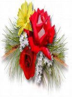 tiet 66,67 - on tap cuoi nam dai 9