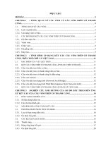 Nghiên cứu khoa học: ẢNH HƯỞNG CỦA SƠ ĐỒ DÂY TREO ĐẾN ỨNG XỬ KẾT CẤU CỦA CẦU VÒM THÉP CÓ THANH CĂNG