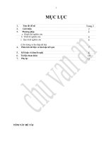 DE TAI ( DU AN VIET- BI )