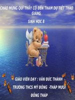 BÀI 54 VỆ SINH HỆ THẦN KINH_2