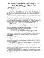 DẠY HỌC NGỮ VĂN THEO HƯỚNG TÍCH HỢP TRONG TIẾT HỌC