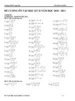 ĐỀ CƯƠNG HKII LỚP 11 HAY