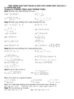 de cuong chon loc on tap toan 10 hoc kỳ 2 nam 2010-2011 (chuong trinh nang cao))