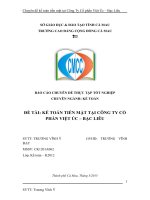 KẾ TOÁN TIỀN mặt tại CÔNG TY cổ PHẦN VIỆT úc – bạc LIÊU