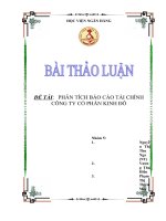 thảo luận học viện ngân hàng đề tài    PHÂN TÍCH báo cáo tài CHÍNH CÔNG TY cổ PHẦN KINH đô