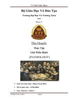 báo cáo Thực Tập giải phẩu bệnh