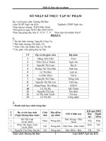 SỔ NHẬT KÍ THỰC TẬP SƯ PHẠM Nghành: CĐSP Ngữ văn.Thực tập tại trường: THCS Đức Ninh.