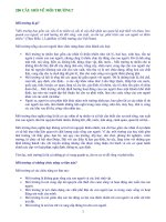 200 CÂU HỎI VỀ MÔI TRƯỜNG?