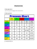 PRONOUNS (đại từ trong tiếng anh)