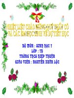 TIET44. CAU TAO TRONG CUA CHIM BO CAU