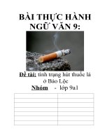 thực hành ngữ văn 9: đề tài hút thuốc lá