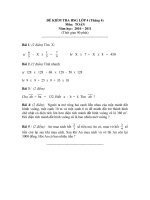 Đề  thi kiểm tra HSG lớp 4 (10-11)