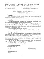 HD VIẾT TIỂU LUẬN