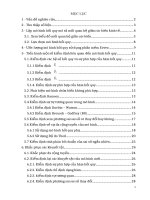 thảo luận kinh tế lượng đề  tài nghiên cứu mối quan hệ giữa nhập khẩu với đầu tư và xuất khẩu ở việt nam trong giai đoạn 1995   2010