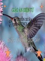 BAI 27. TIEU HOA O DA DAY