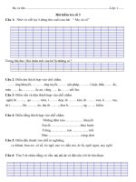 DỀ THI KHẢO SÁT CHẤT L][NGJ LỚP 1 NAM HỌC 2010 - 2011
