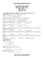 ĐỀ THI HSG CÓ HDC VÀ MA TRẬN