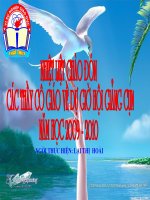 Van ban:Chiec la cuoi cung