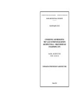 CONSERVING AND PROMOTING THE VALUE OF FRENCH QUARTER'S ARCHITECTURAL - URBAN HERITAGE IN HAI PHONG CITY