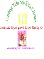 Tuần 33. Luật bảo vệ trẻ em