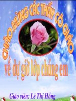 Tuần 31:Tập đọc: Công vệc đầu tiên