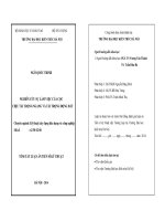 Tóm tắt luận án nghiên cứu sự làm việc của cọc chịu tải ngang và tải trọng động đất