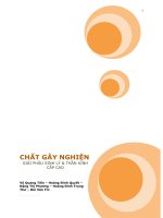 Tiểu luận môn giải phẫu sinh lý và hoạt động thần kinh cao cấp Đề tài CHẤT GÂY NGHIỆN