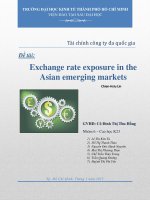 Tiểu luận tài chính công ty đa quốc gia TÁC ĐỘNG CỦA TỶ GIÁ ĐẾN THỊ TRƯỜNG MỚI NỔI CHÂU Á