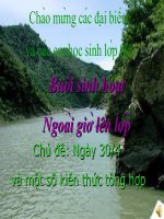 Hoạt động NGLL tháng 4-(QN)