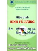 slide thuyết trình kinh tế lượng VCU đề tài hiện tượng tự tương quan ,nguyên nhân và giải pháp